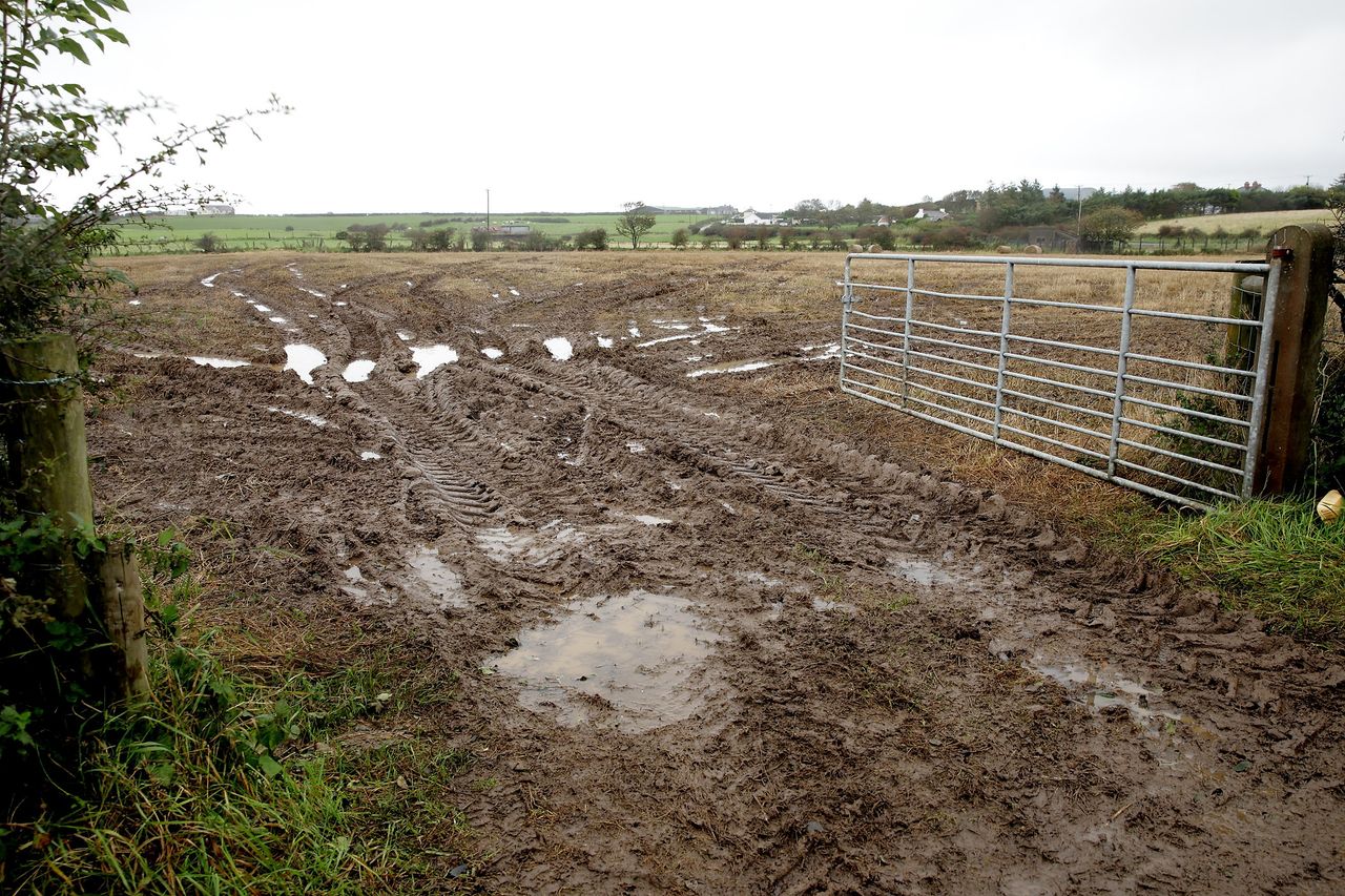 Soil: Taking the pressure off this winter