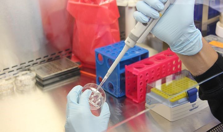 15 new positions at APHA Brexit-linked