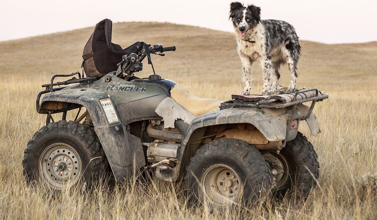 5 things you should think about every time you jump on the quad