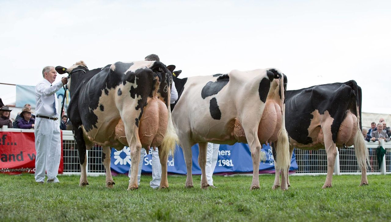 Holstein UK European young breeders school team announced