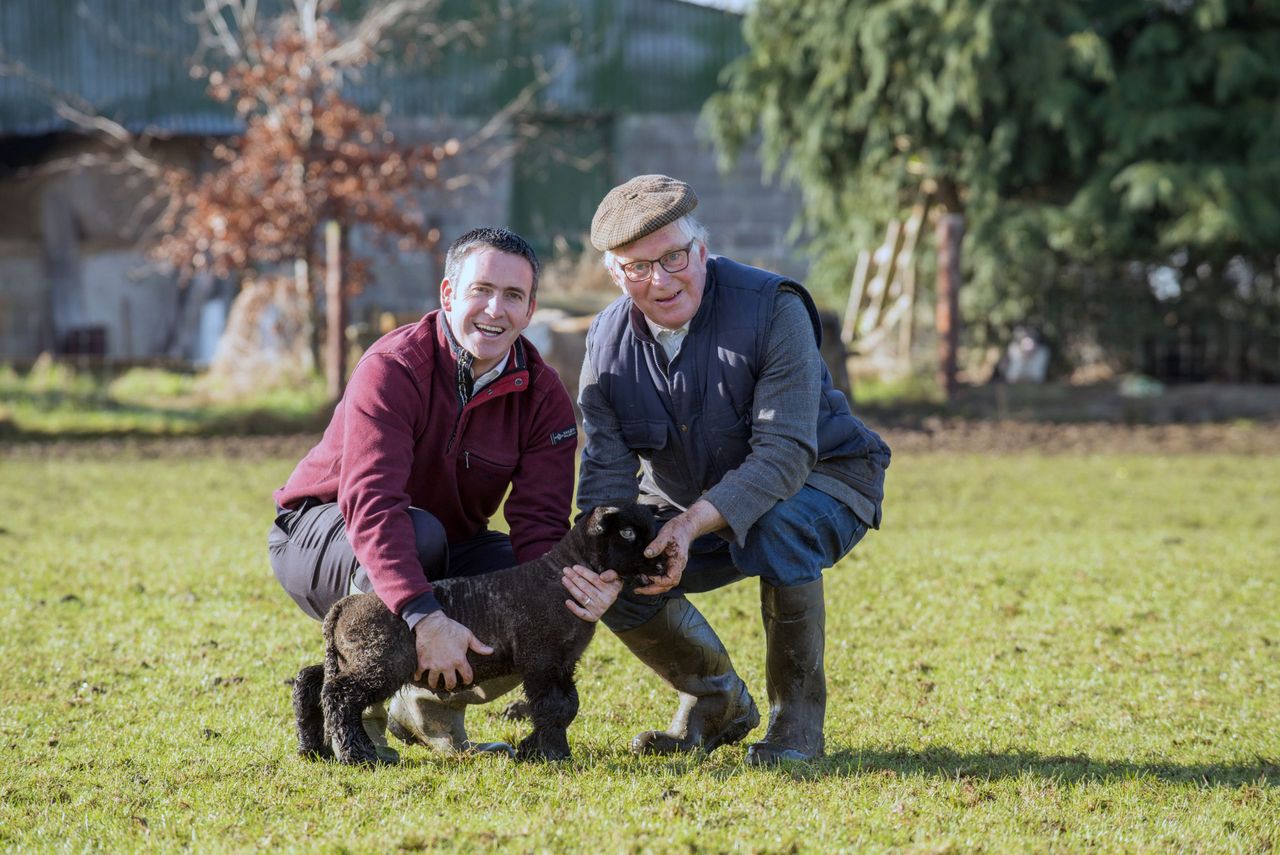 'Even quiet, docile dogs can turn into killers'