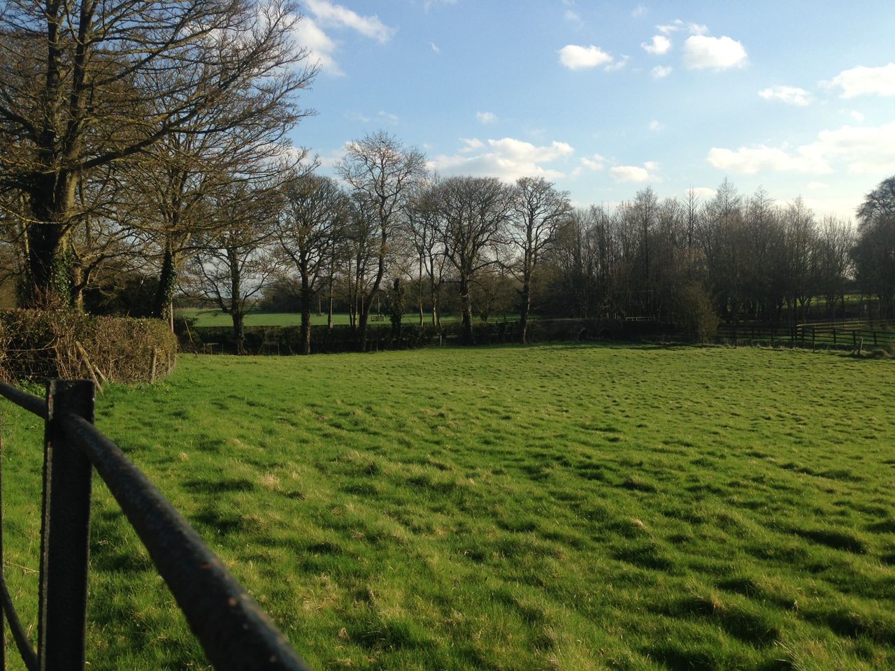 Almost £500k in funding to plant trees in memory of Queen Elizabeth