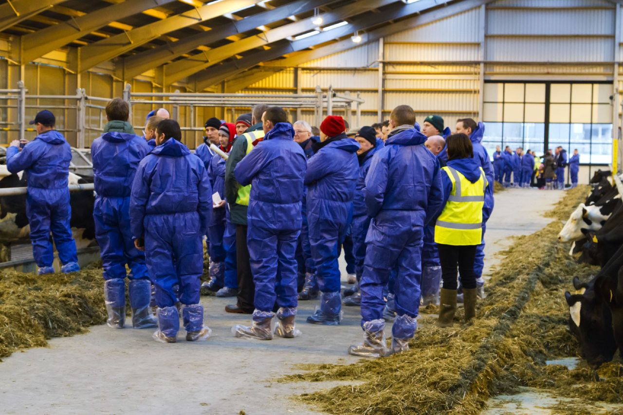900 farmers attend dairy unit training