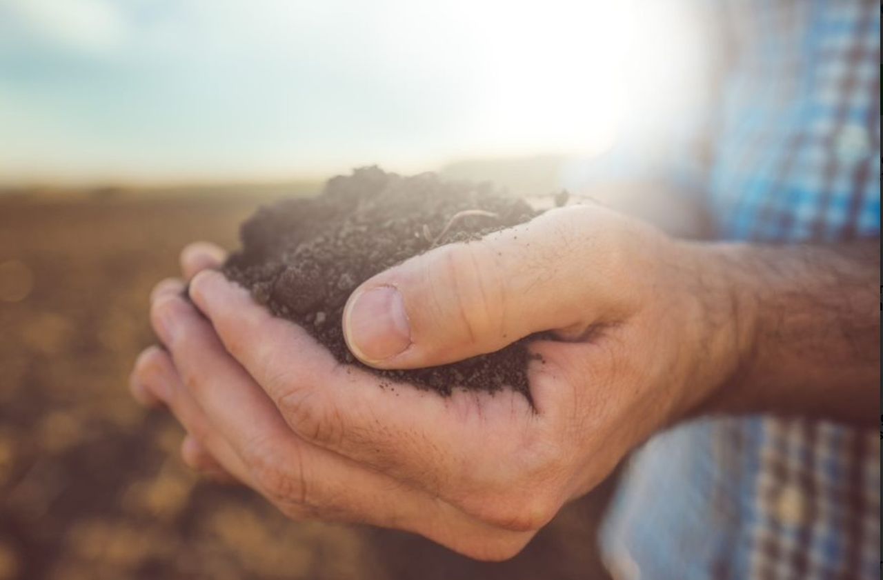 World Food Forum 2023 highlights soil degradation and health