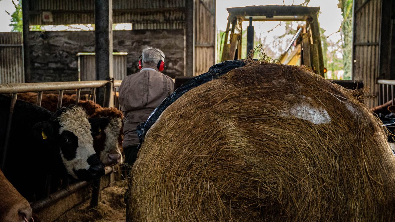 Mental health of farmers comes down to their 'financial resilience' - BACP