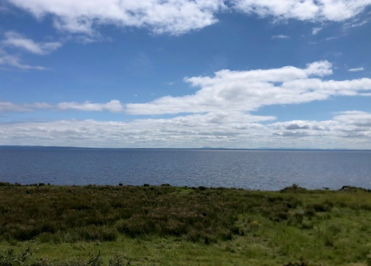 Report: Some people blame ‘slurry-pollution problem’ for Lough Neagh algae crisis