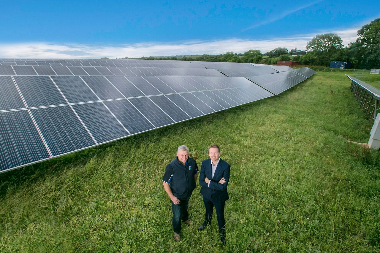 37ac solar farm powering Dale Farm’s cheddar cheese plant