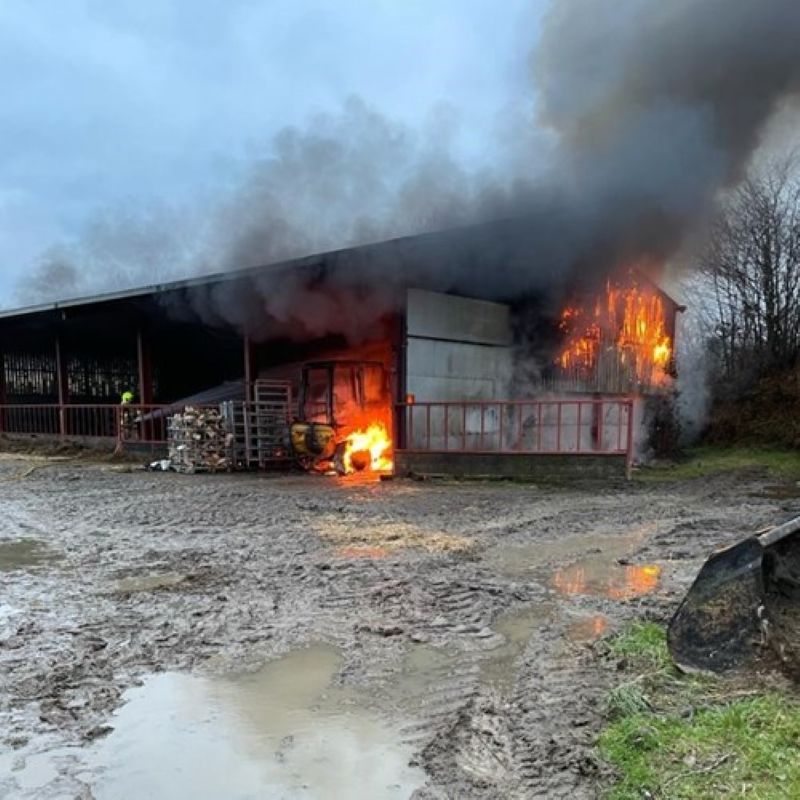 Cattle saved as 20 firefighters called to Ceredigion barn fire