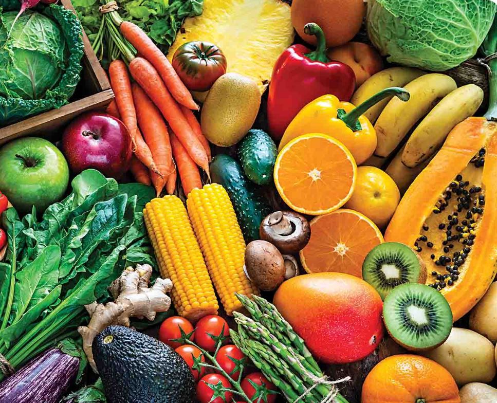 Food Foundation launches childhood nutrition library
