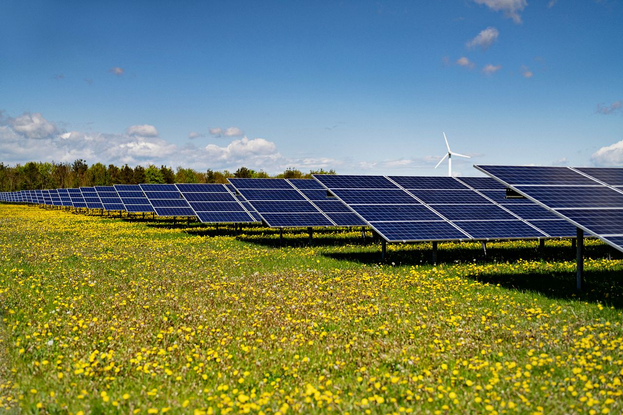 Arla's ambitious solar park plan expected to cover 33% energy consumption