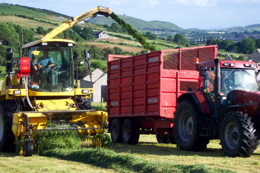 Young farmer snubs court date in favour of silage