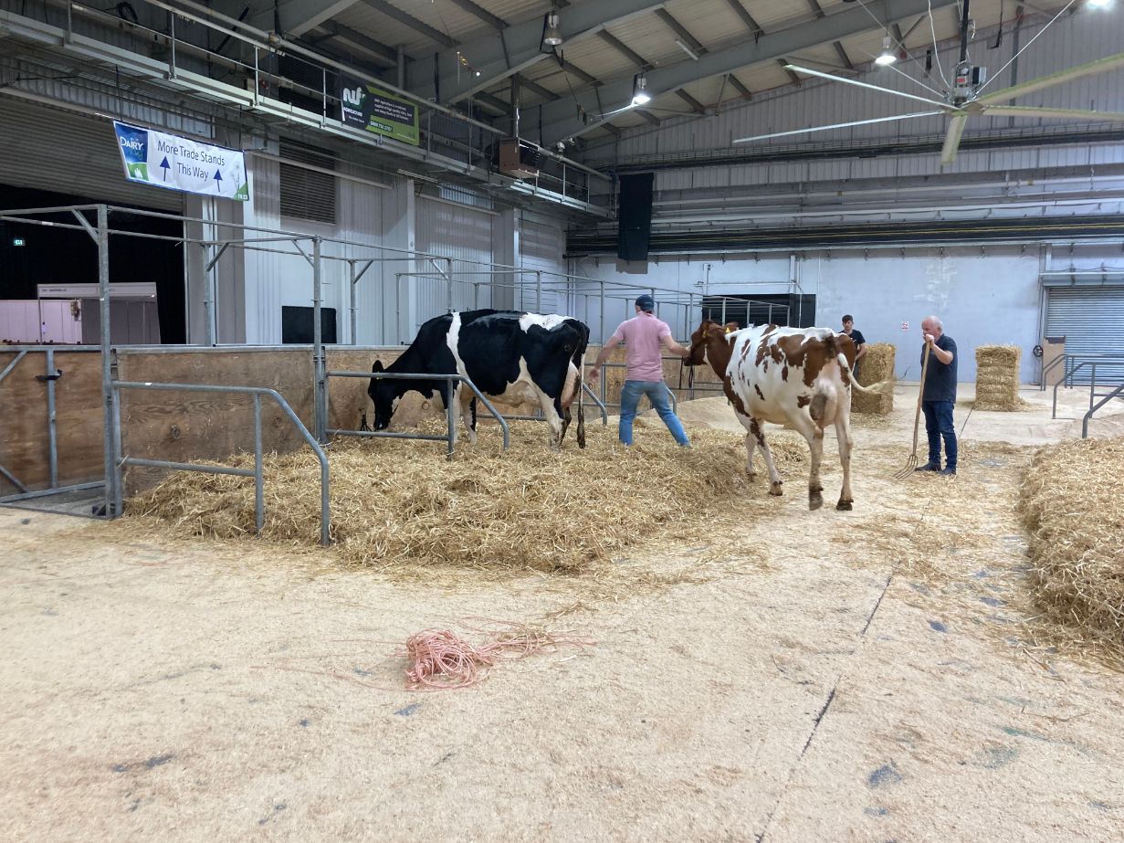 UK Dairy Day: What you need to know