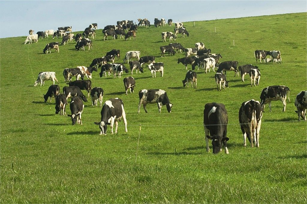 Carbon to replace milk as the new quota in farming