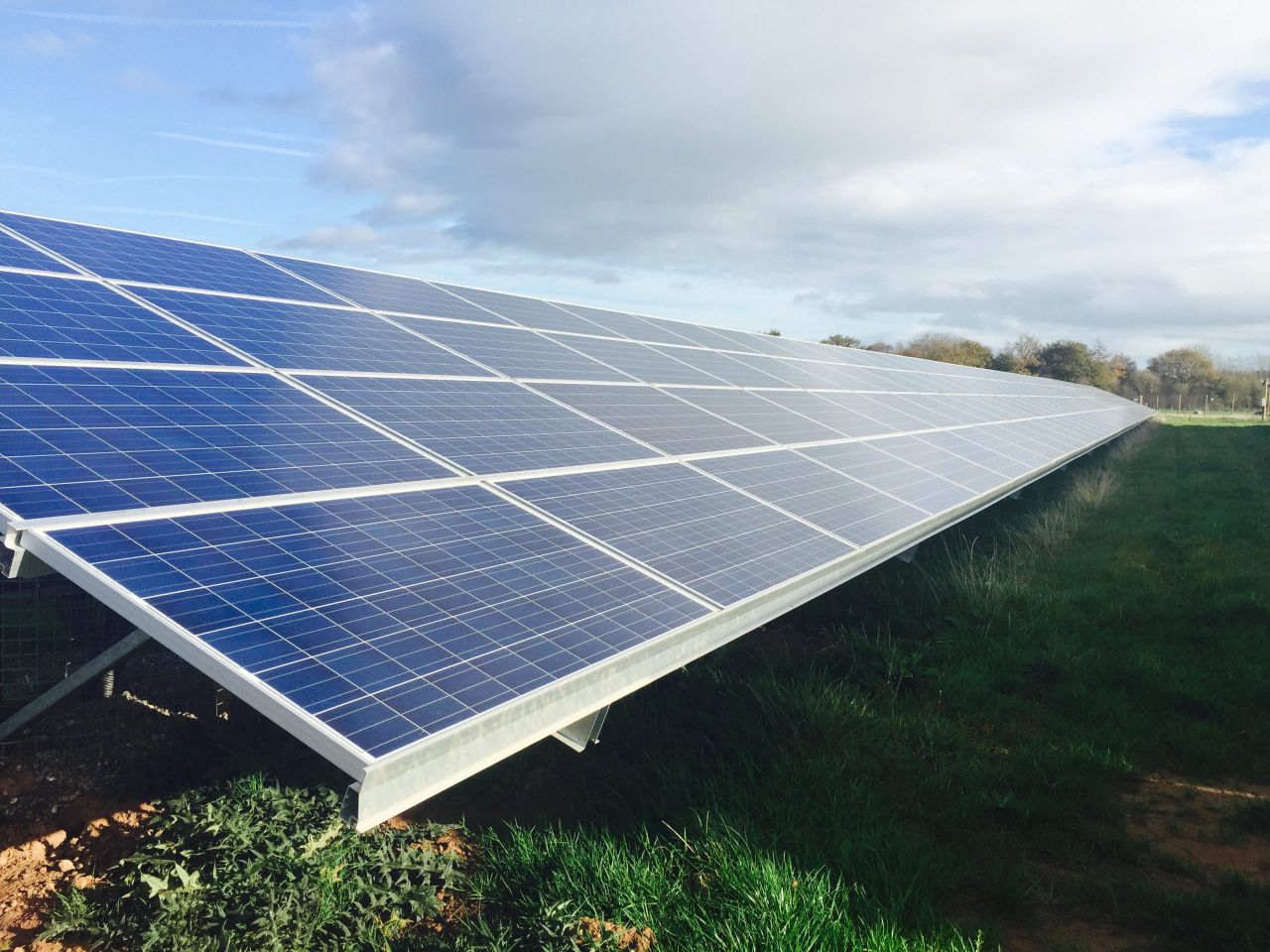 Dale Farm's cheese facility to be powered by solar energy