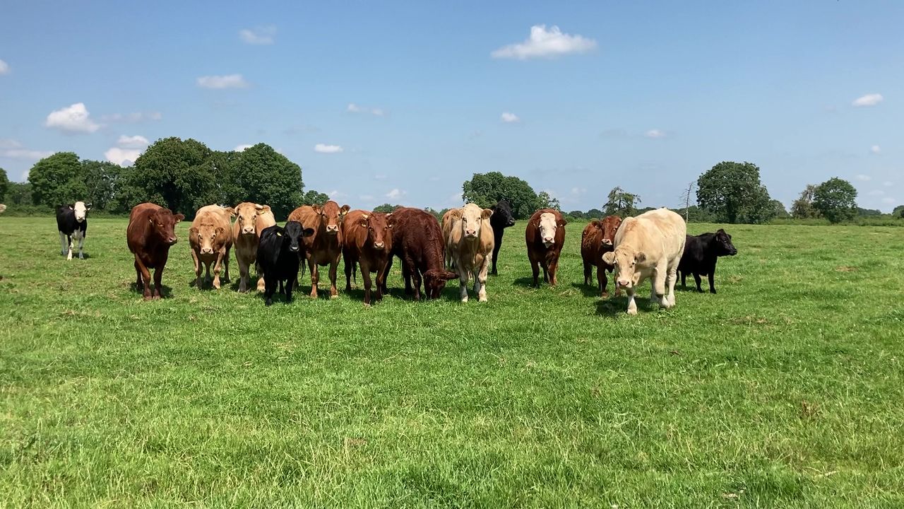 Opinion: It’s not all bad news, where agriculture is concerned