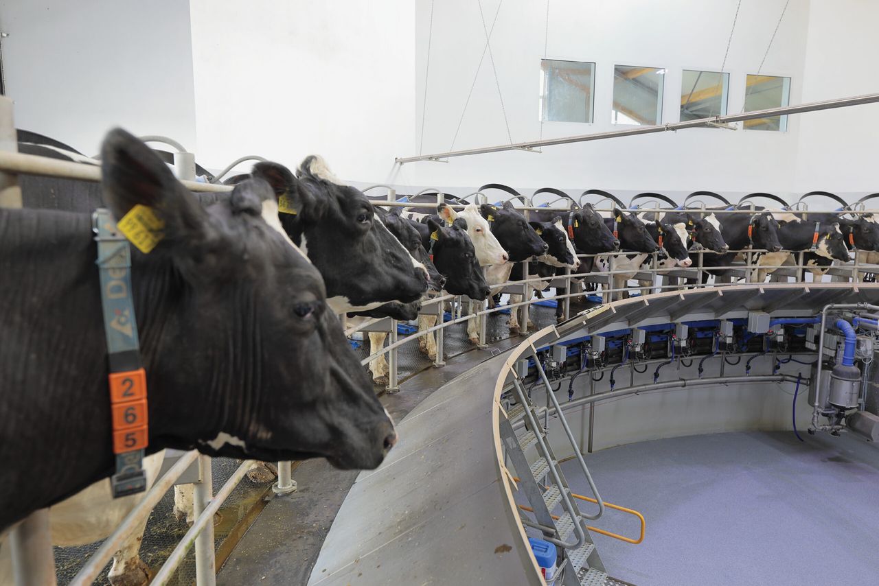 DeLaval launches ‘Think Big’ initiative for dairy farmers looking to expand
