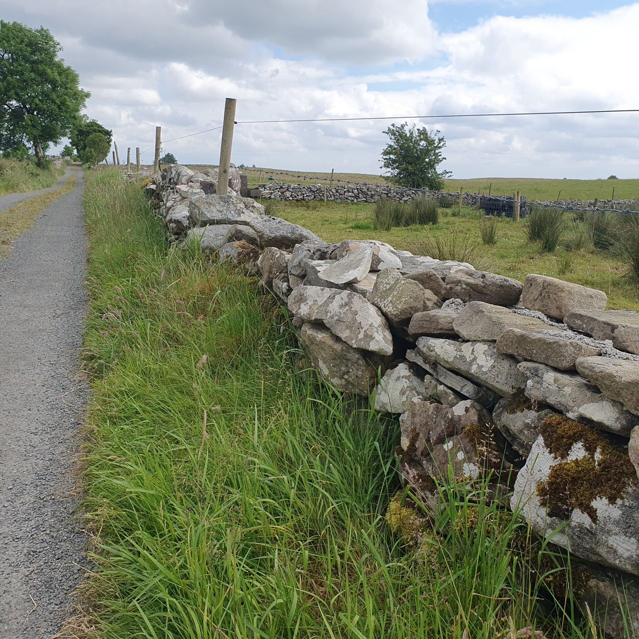 Watch: Are you thinking of restoring dry stone walls?