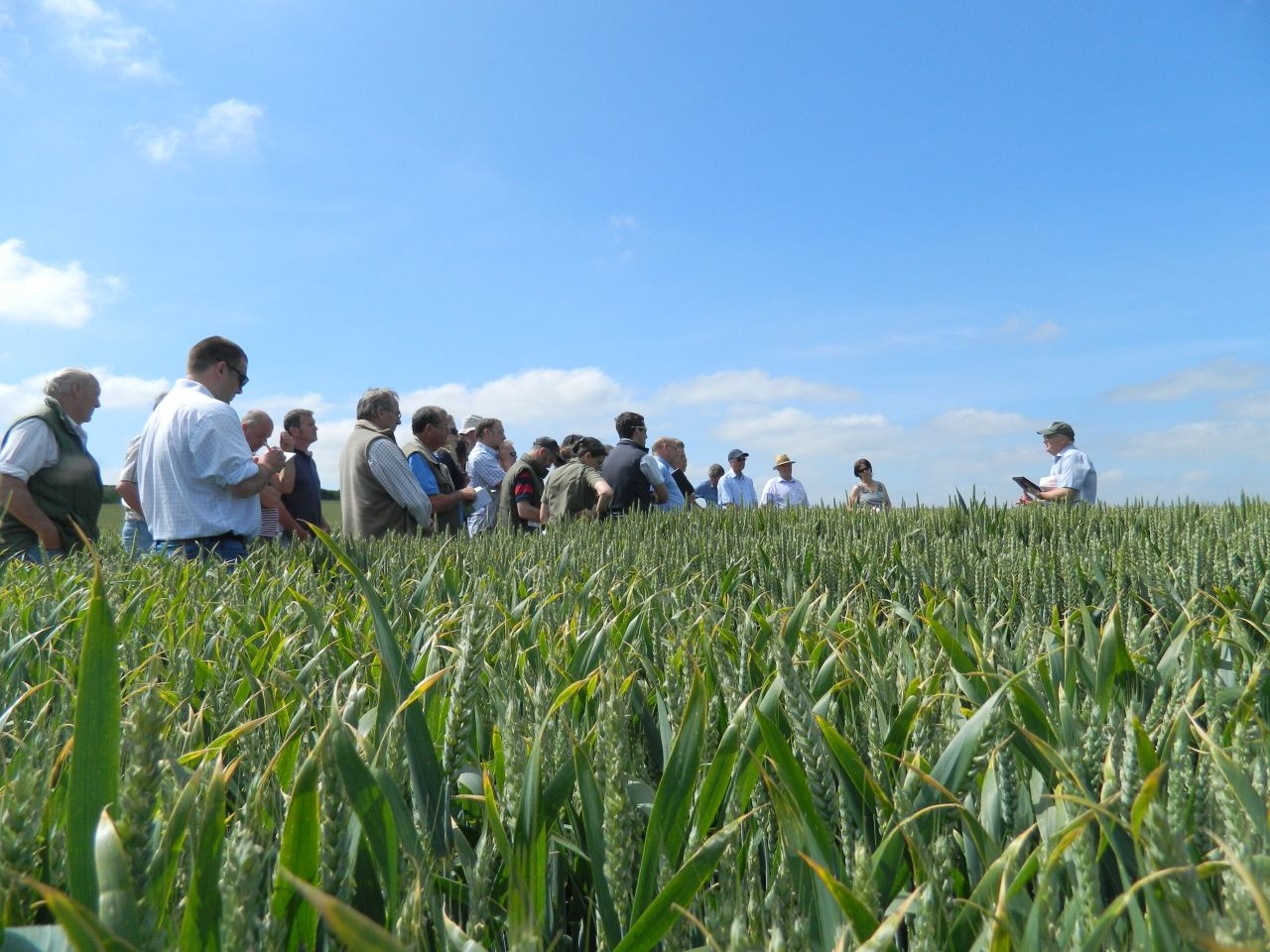 Major change on the cards for AHDB