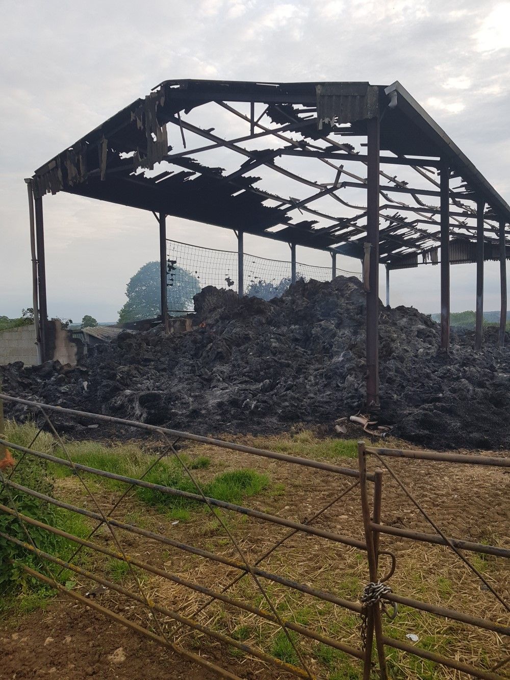Police launch arson investigation into barn fire