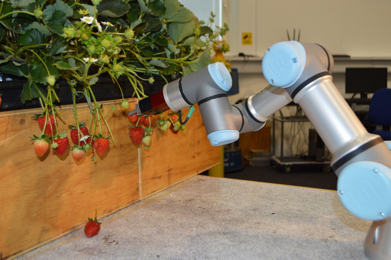 Ministers host agri-tech discussions with key global investors