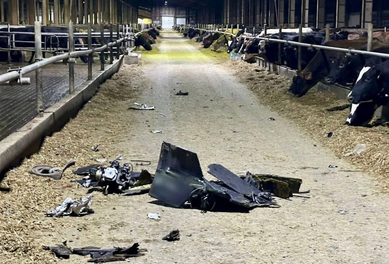 Ukraine dairy sector still investing despite Russian missiles