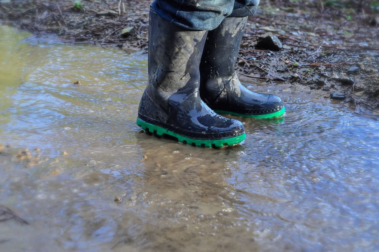 NFU Cymru to provide food and farming lessons to Welsh schools