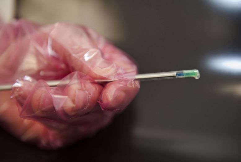 Hundreds of unclaimed bull semen straws set to be destroyed in New Zealand