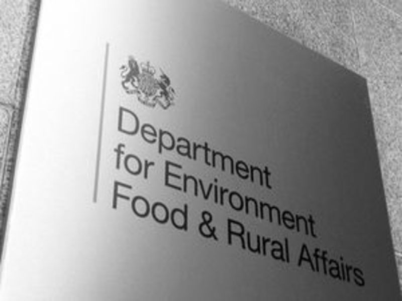 Defra launches its Implementation Plan for Healthy Bees Plan 2030
