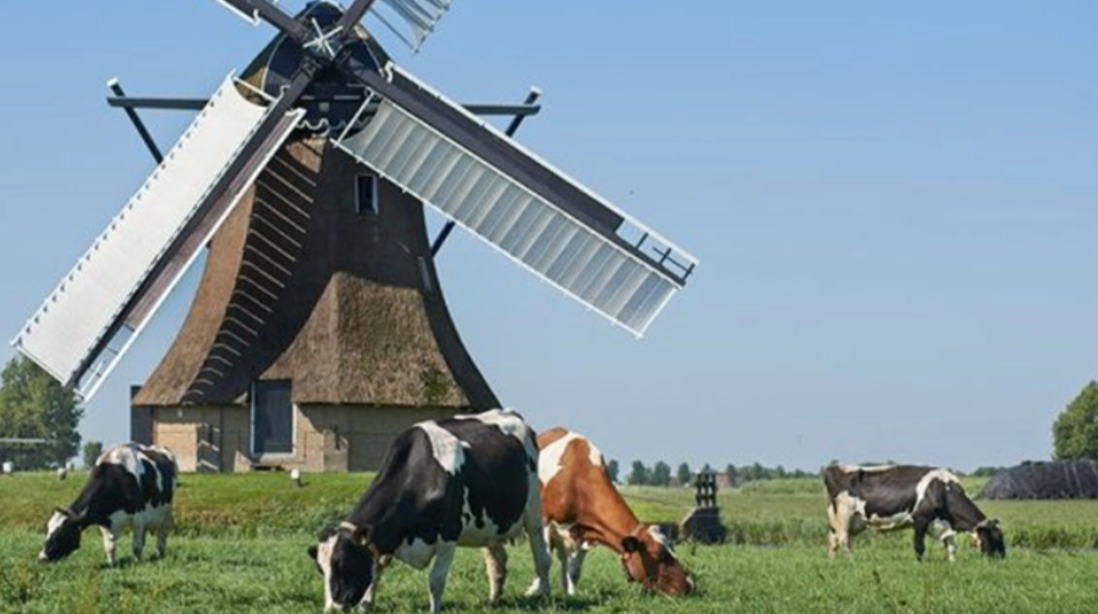 $27.4m genetics initiative will breed low-methane emitting cattle