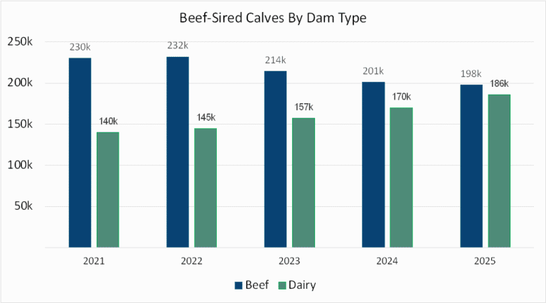 Source: Livestock and Meat Commission.