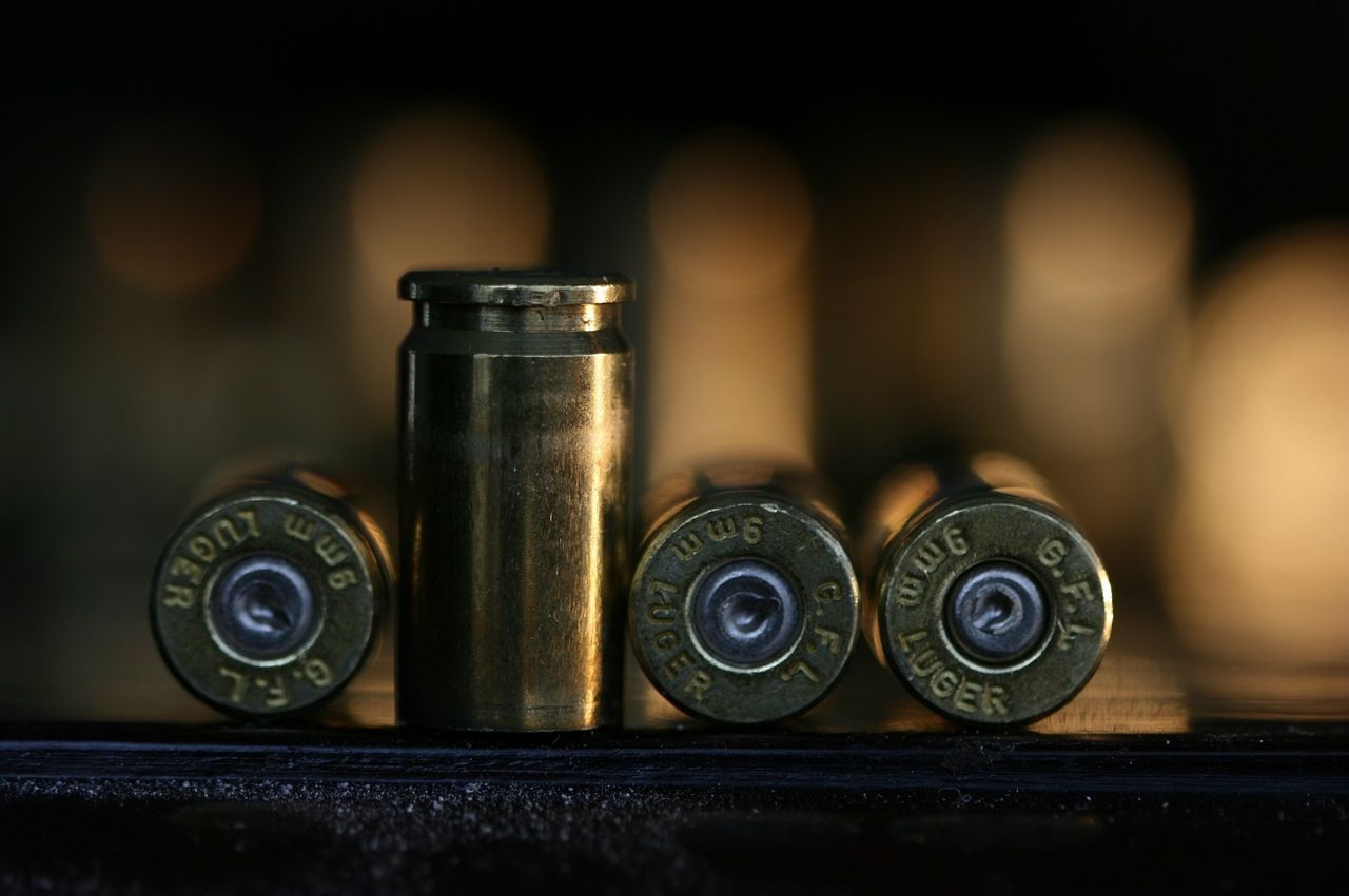 Plans announced to phase out lead ammunition in bid to protect wildlife