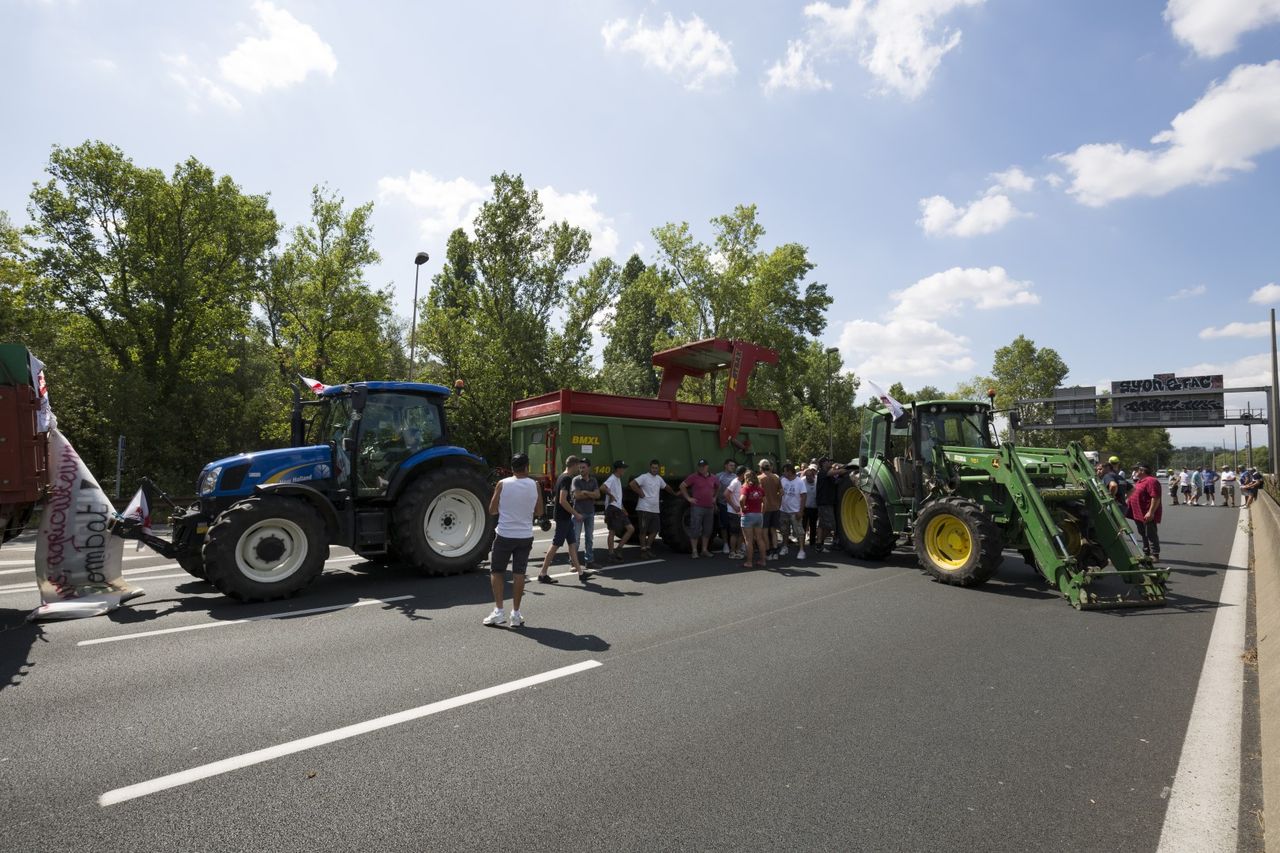 Dairy farmer protests loom in the UK as milk production slumps by over 10%