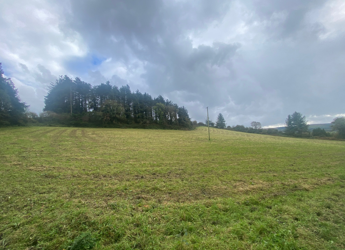 Study: Distinct targets needed for land-based mitigation