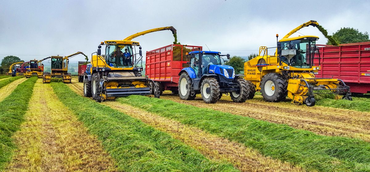 Where did New Holland self-propelled harvesters come from?