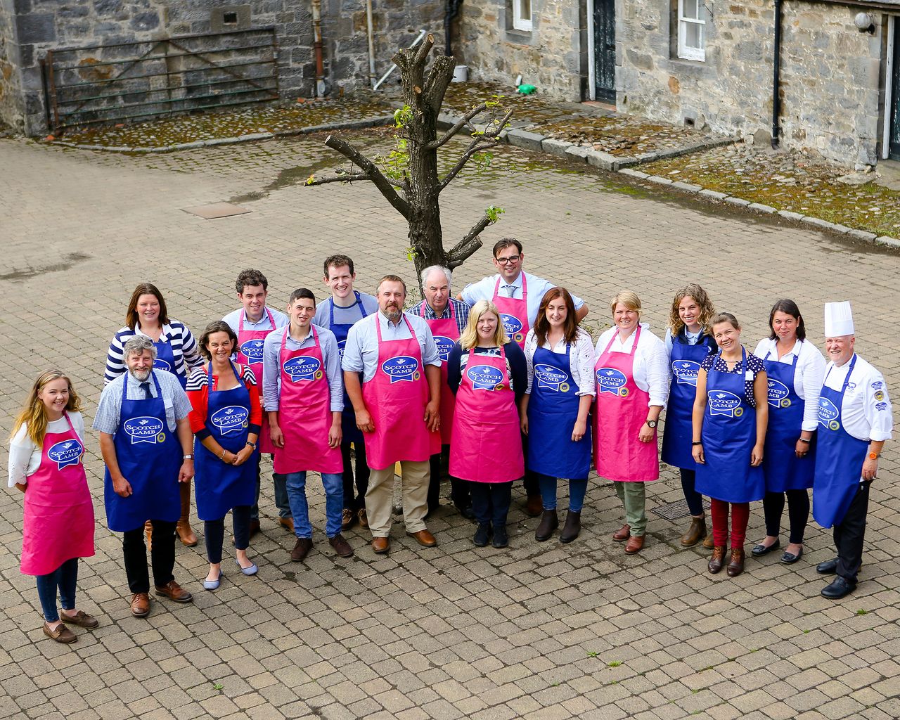 Lambassadors at the ready...Love Lamb Week starts today