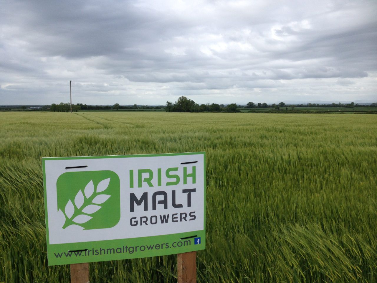 New malting barley group to seek contract price negotiating rights