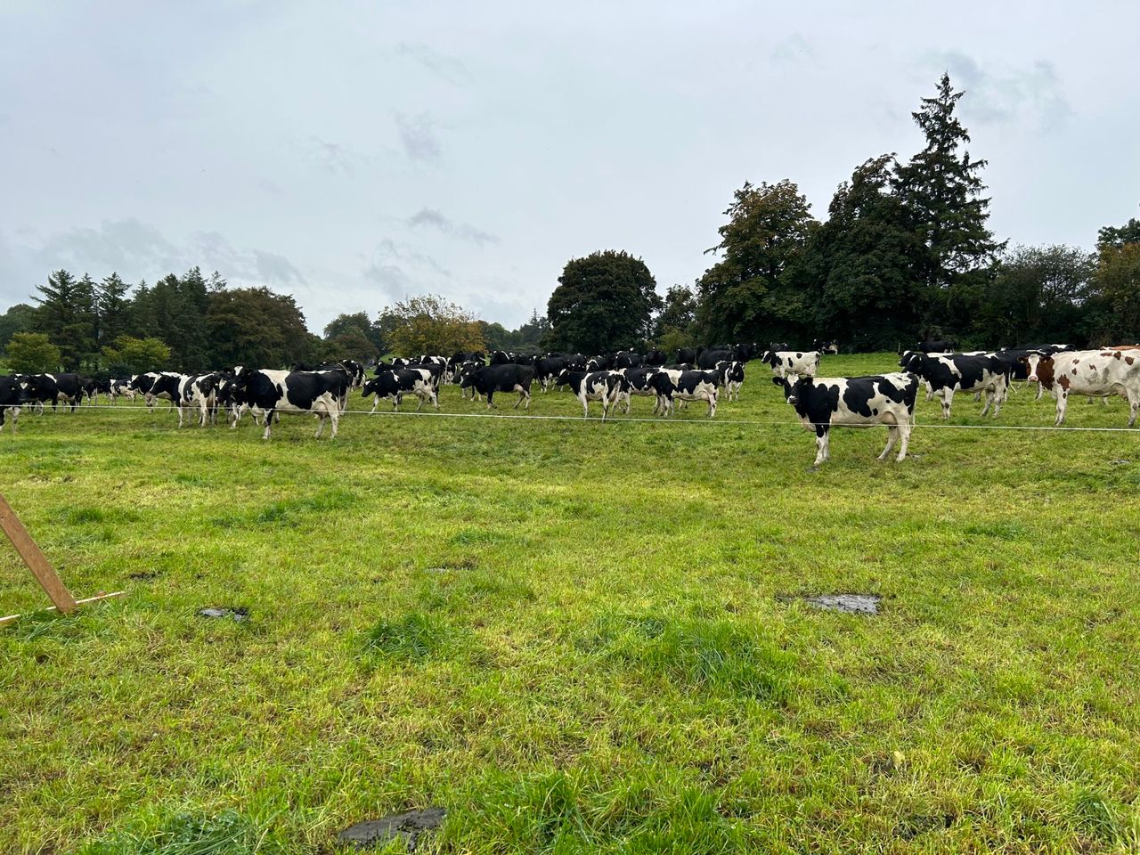 Farmers north and south ‘concerned’ about climate targets