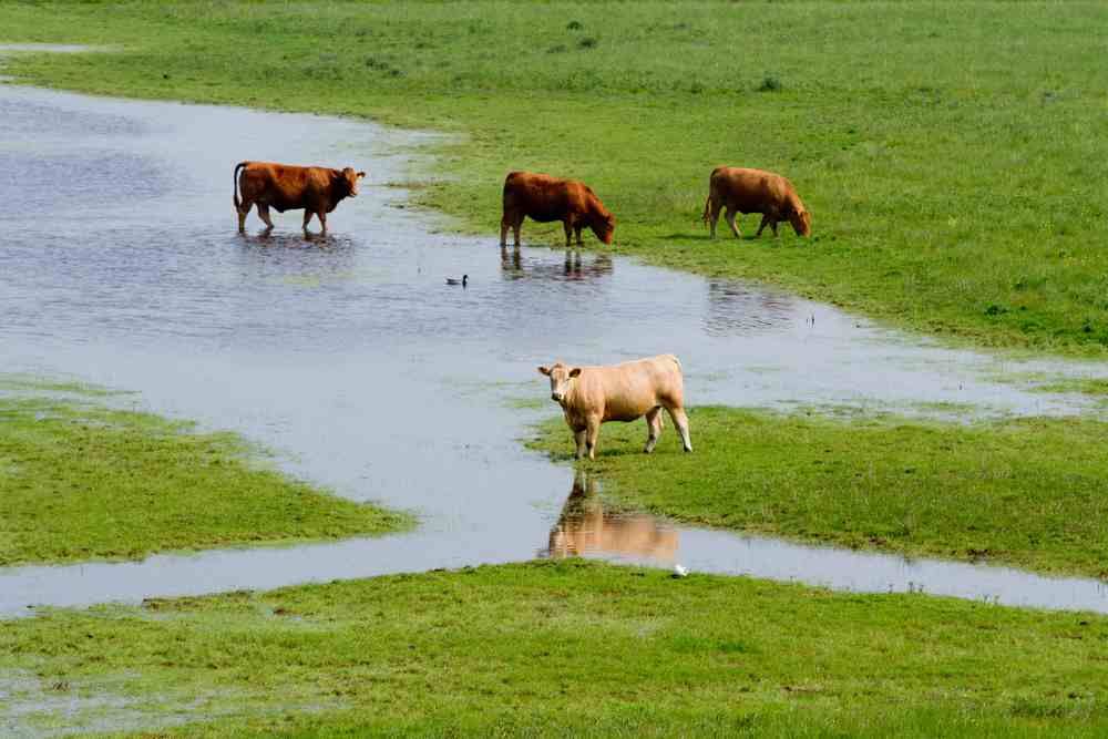 Flooding preparation amid weather warnings