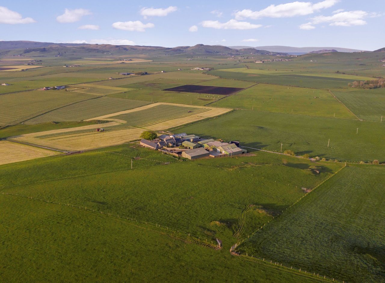 Video: 4th generation, former dairy farm for sale on 200ac