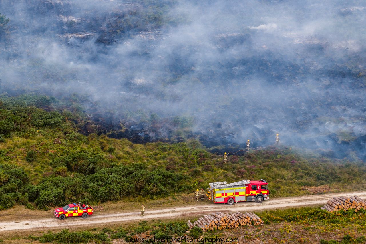Fire services battling large blaze in Holt Heath as 69ha consumed