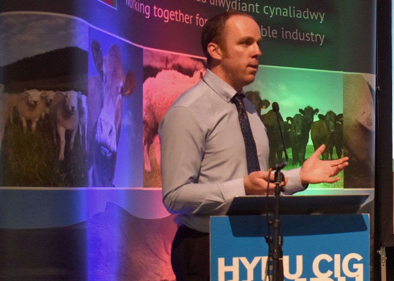 Major fund launched to research sustainable Welsh beef and sheep farming