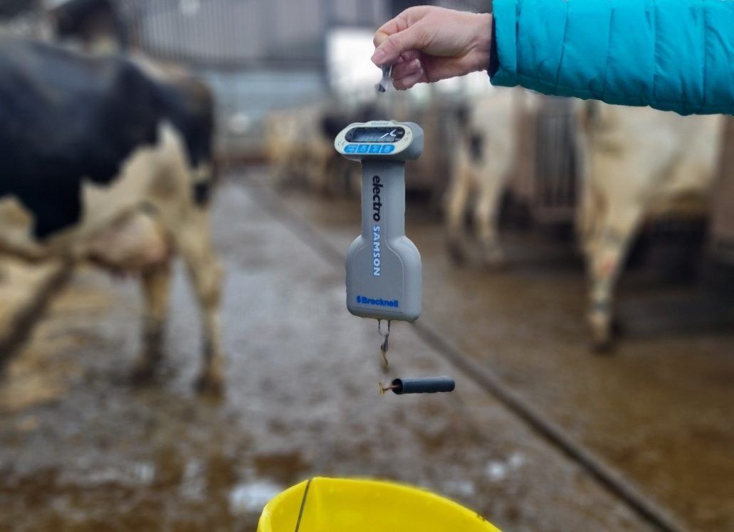 Feeder inaccuracy of up to 15% found on NI dairy farms
