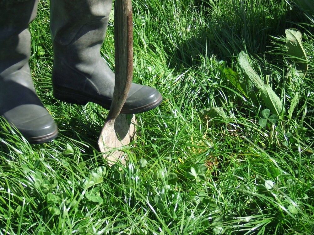 HCC to attend Royal Welsh Agri Society's Grass and Muck event