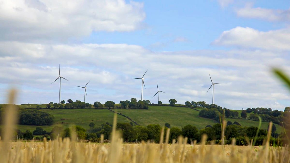 'Widespread greenwashing' is comprising efforts to prepare for climate change - EA