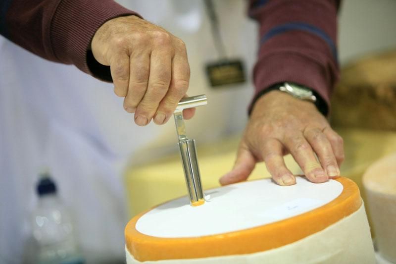 Dairy exporters heading for leading food and drink fair in China