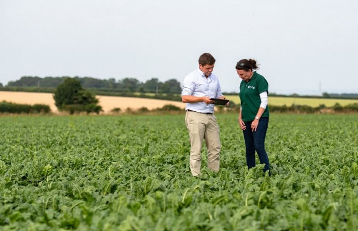 UK sugar beet growers to receive first ever market-linked bonus pay-outs