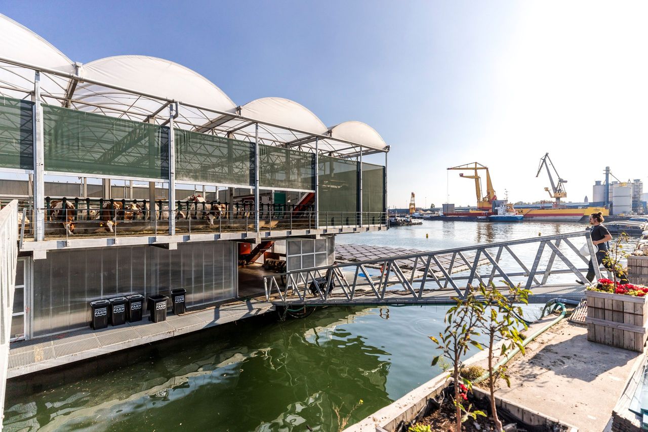Red tape forces closure of world’s first floating dairy farm