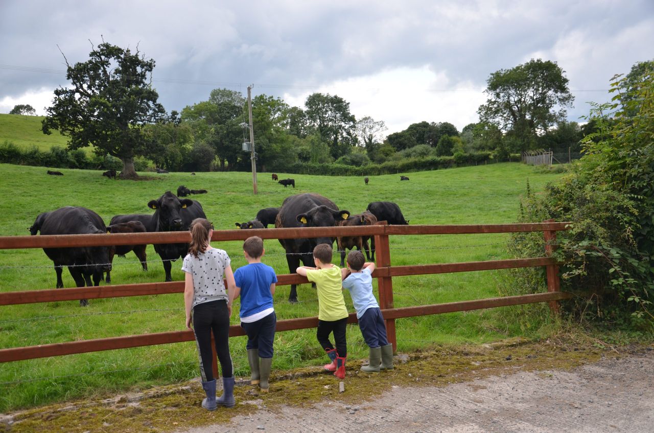 The simple steps to protect children on farms this summer – HSENI