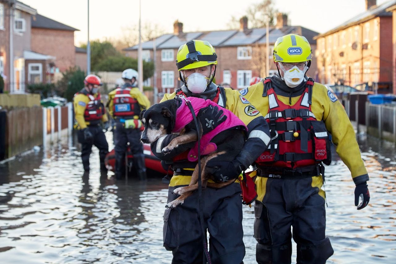 RSPCA flood response team put on standby as water rises