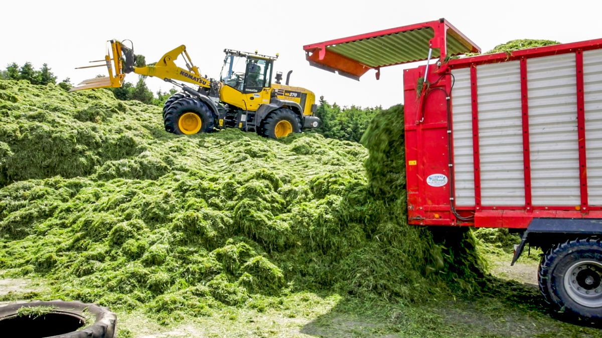 Trade focus: How a Westmeath man can get an 'edge' on your machinery